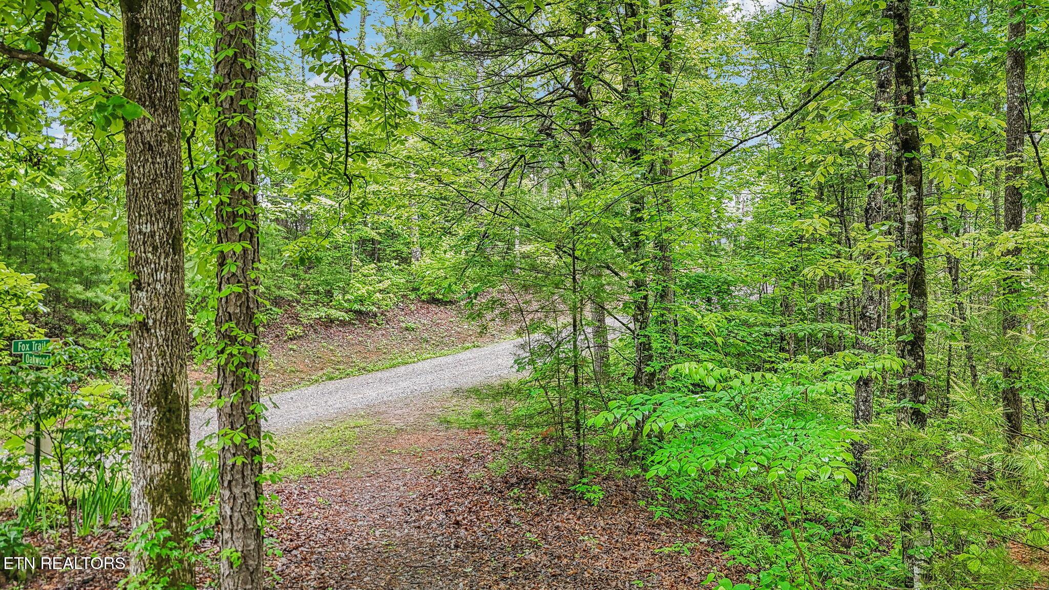 Image 3: 1-web-or-mls-1852 Oakwood Rd Lot 18 Wall
