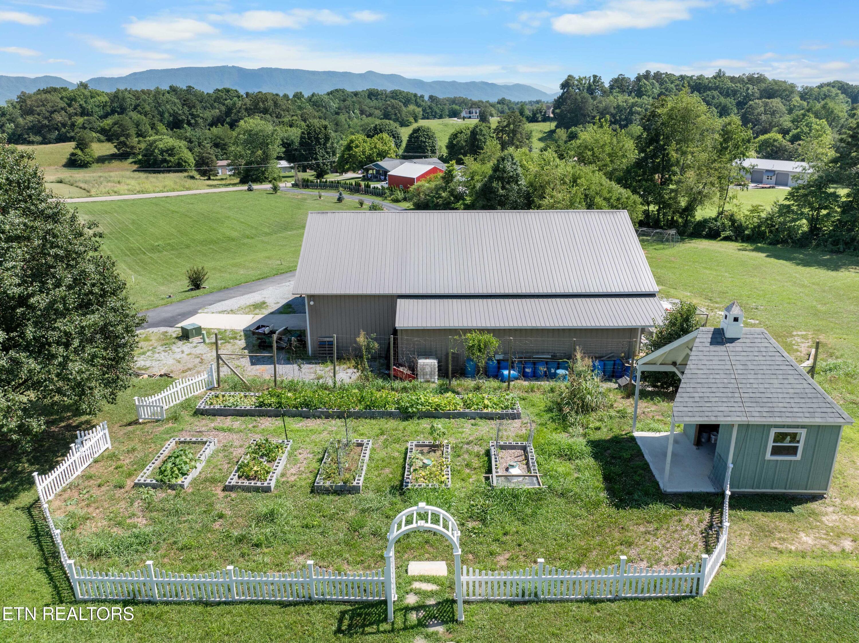 Image 3: DJI_0799