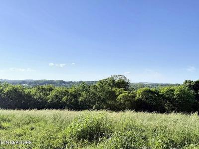 Lot 1 Stone Lane