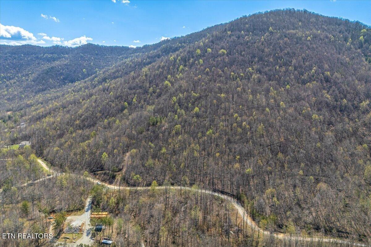 Image 3: 04-Lot Line A4