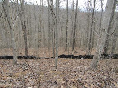 Lot 60 W Bobcat Lane