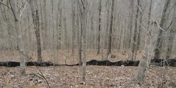 Lot 60 W Bobcat Lane