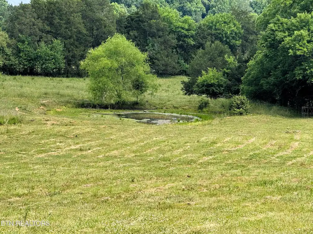 Image 1: Slack Farm 9 pond 2
