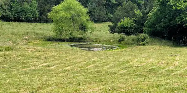 17.5 acres County Road 571