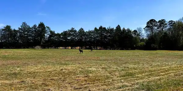 Image 2: Slack Farm 7