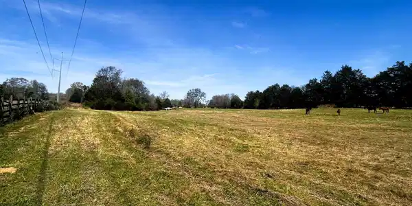 Image 4: Slack Farm 4