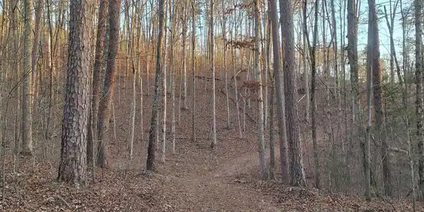 Lot 1 Mecca Pike