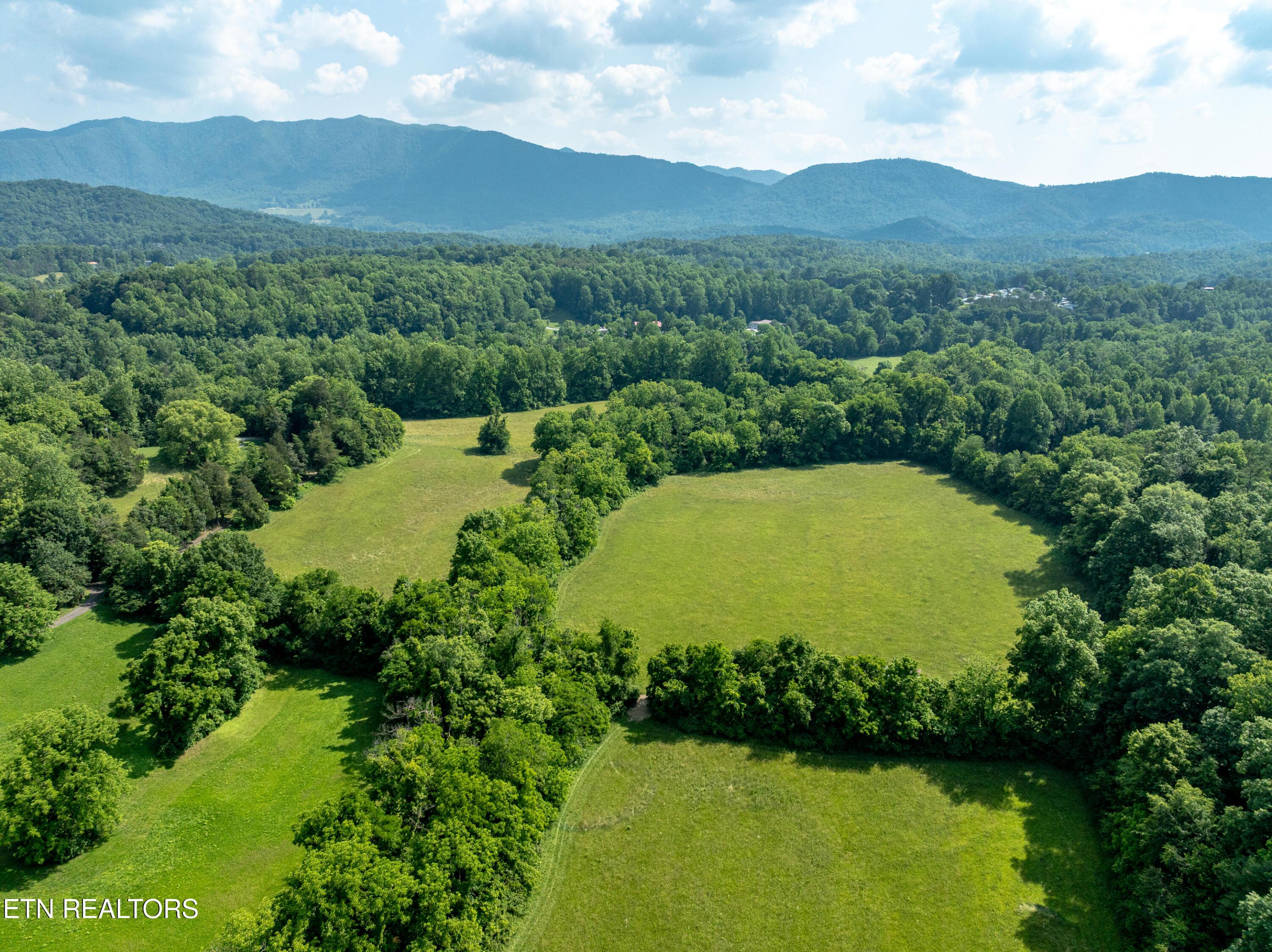 Image 4: DJI_0007