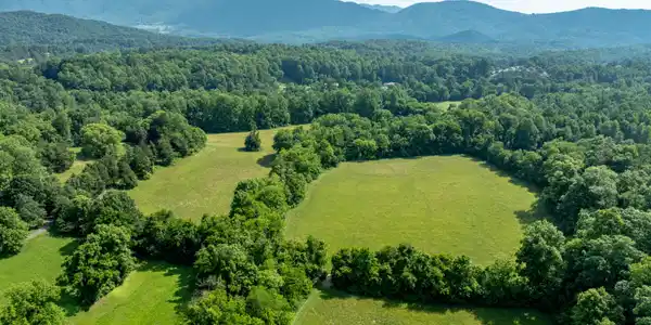 Image 4: DJI_0007
