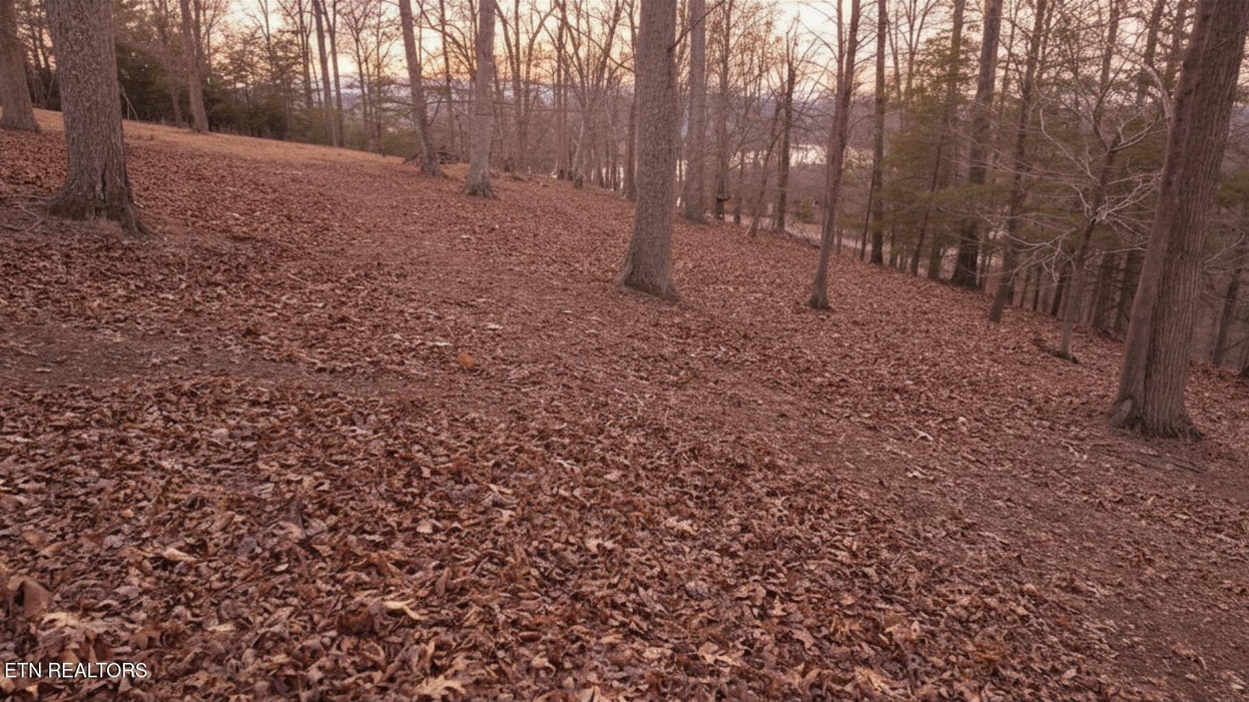 Image 3: DeerCreek Path