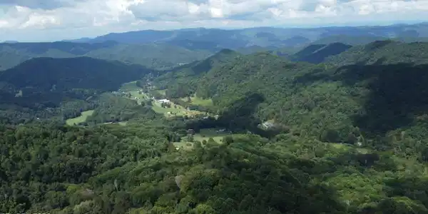 Image 2: 3