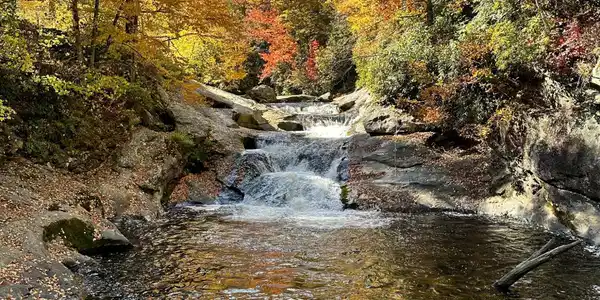 Image 4: Tellico River Located 14 Miles from Prop