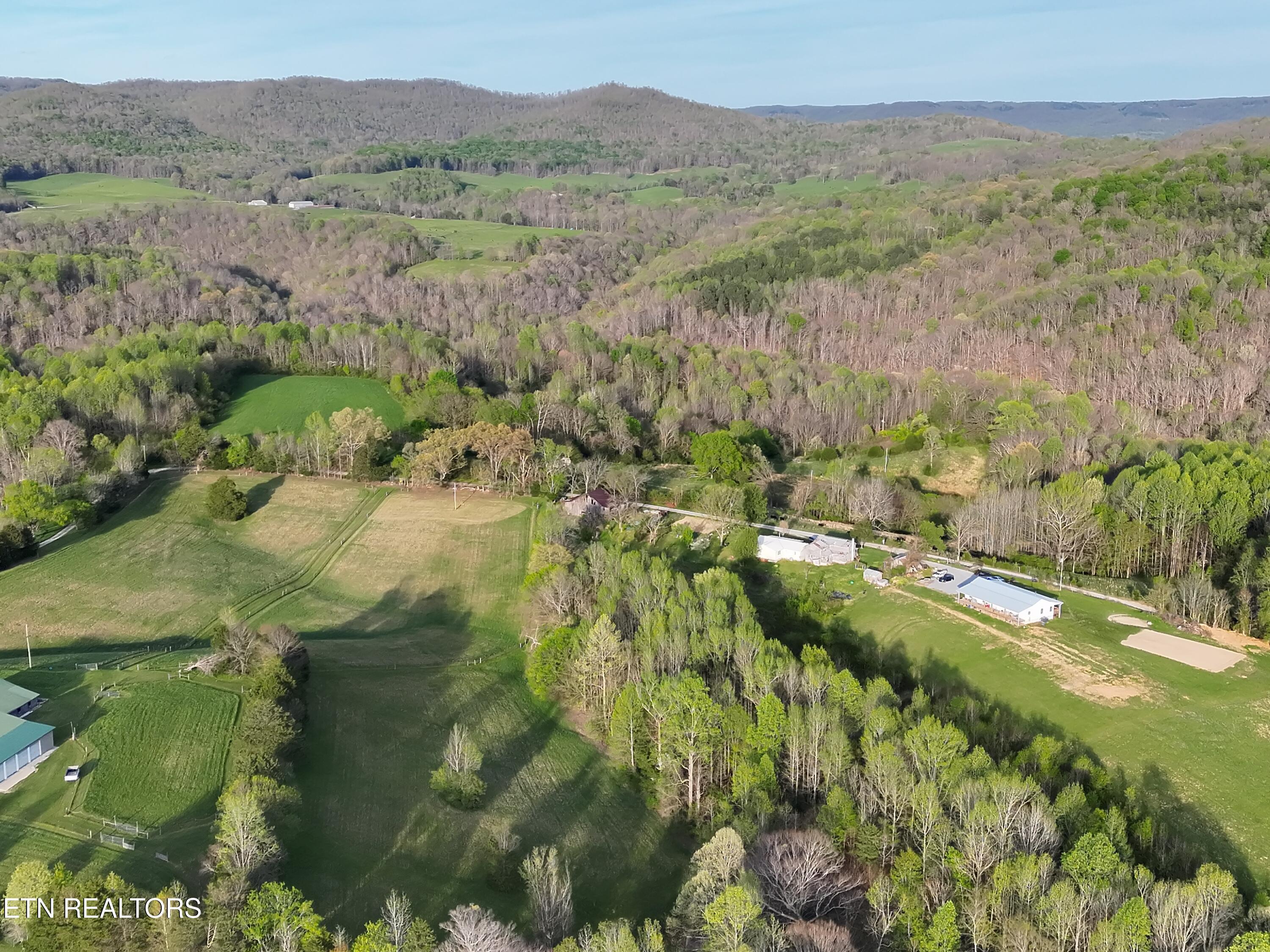 Image 2: gooseneck 1