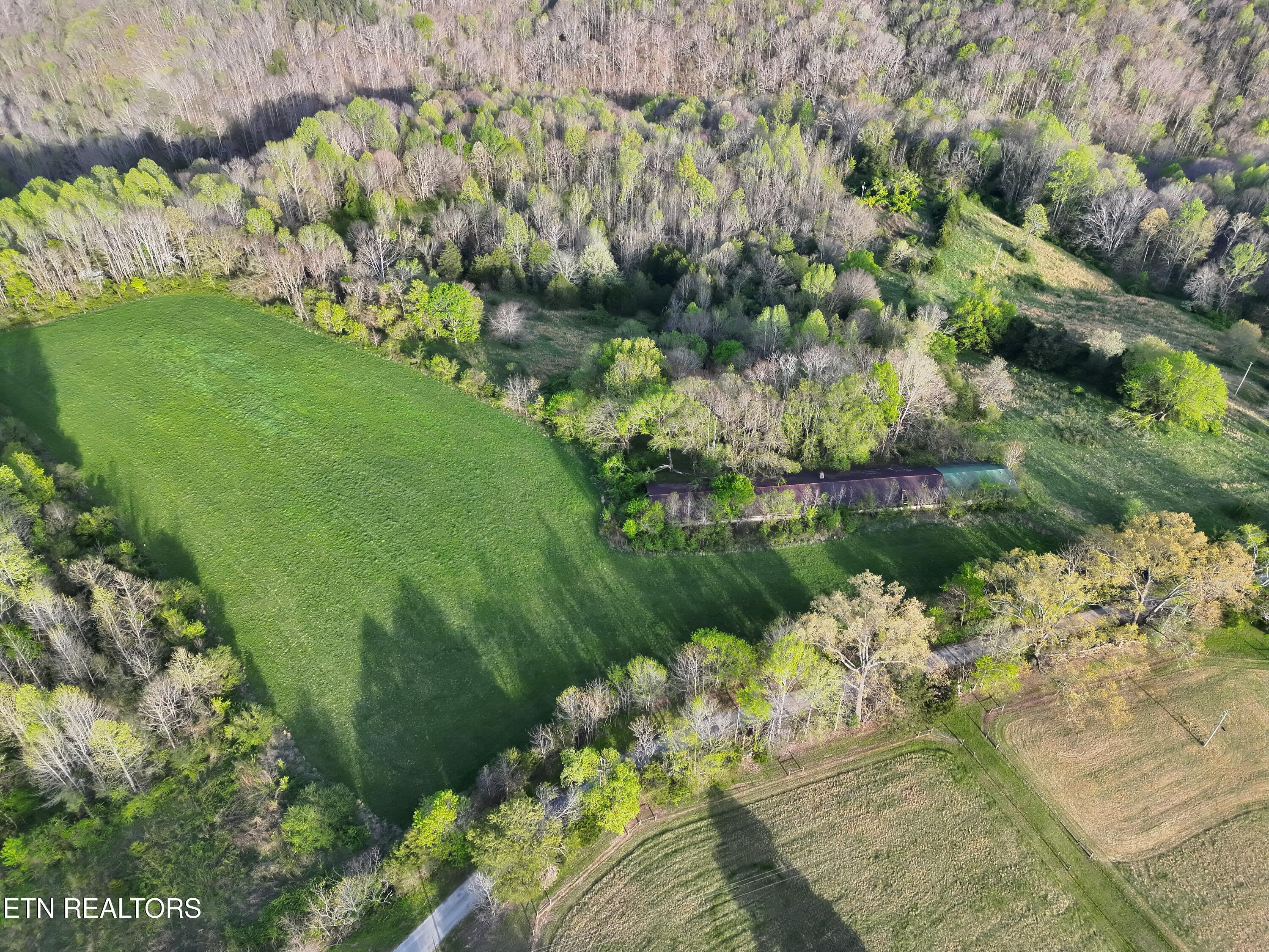 Image 3: gooseneck 2