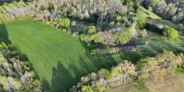 Image 3: gooseneck 2