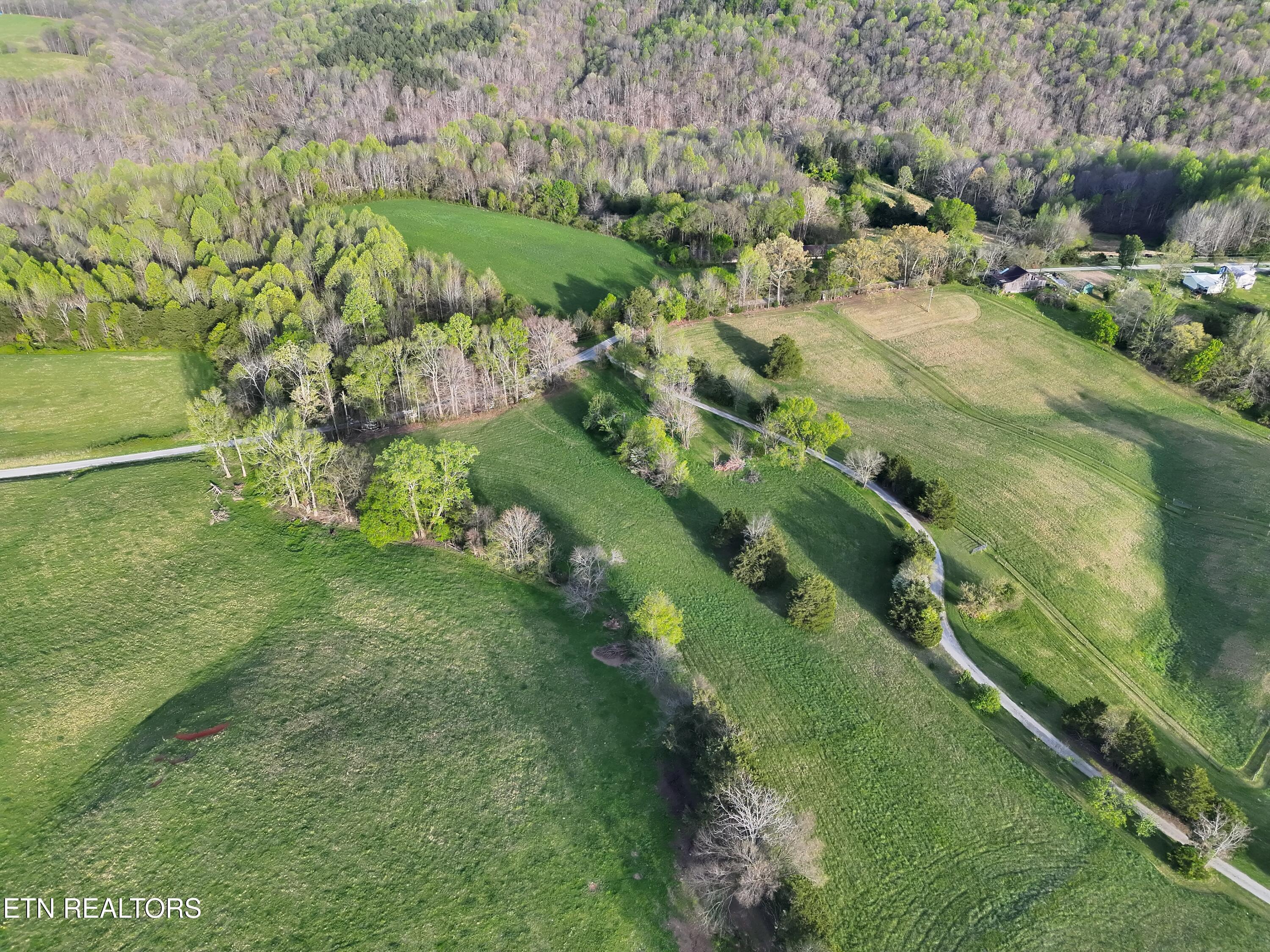 Image 4: gooseneck 3