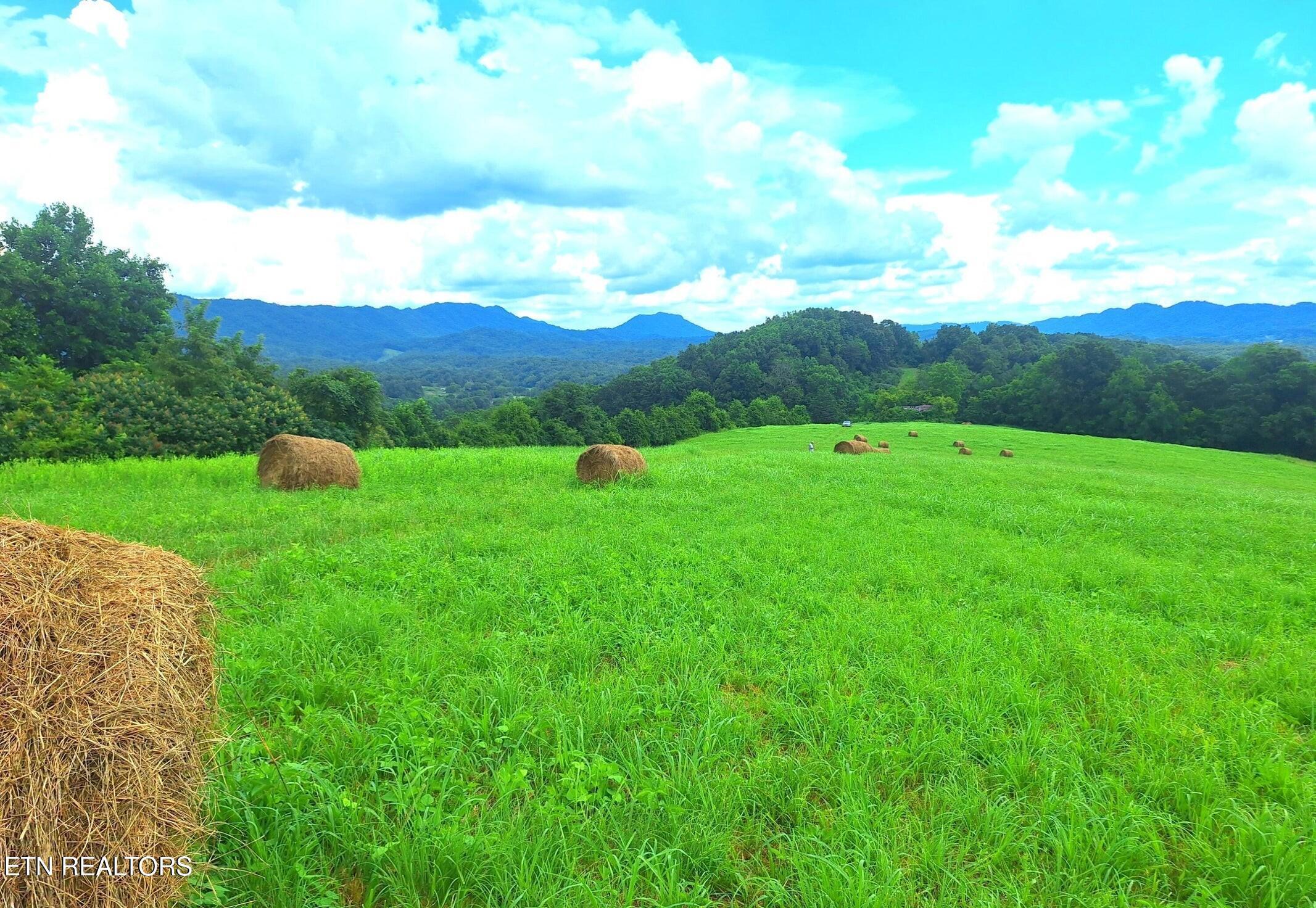 Image 2: 20250731180913241935000000-o