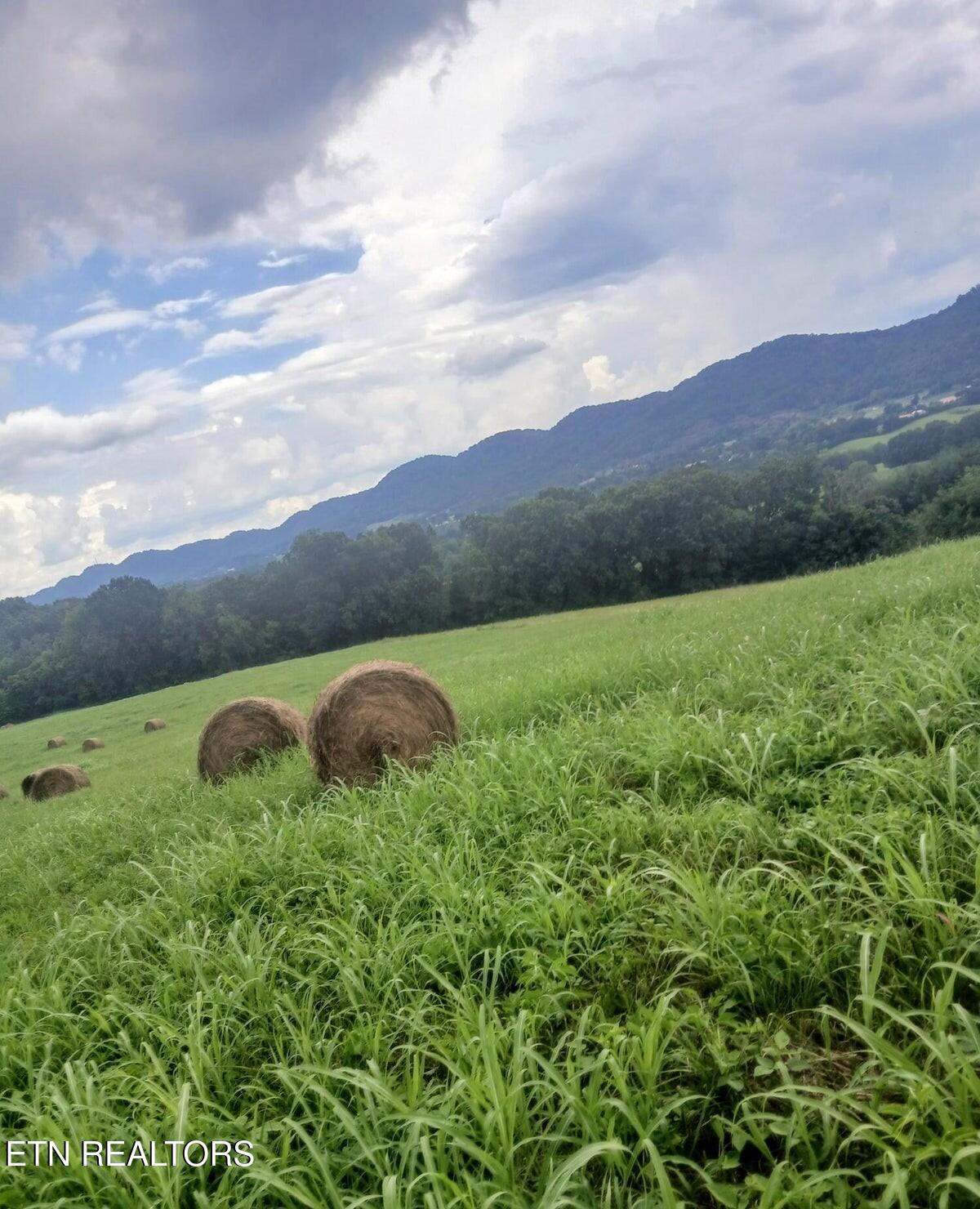 Image 3: 20250731183838279376000000-o