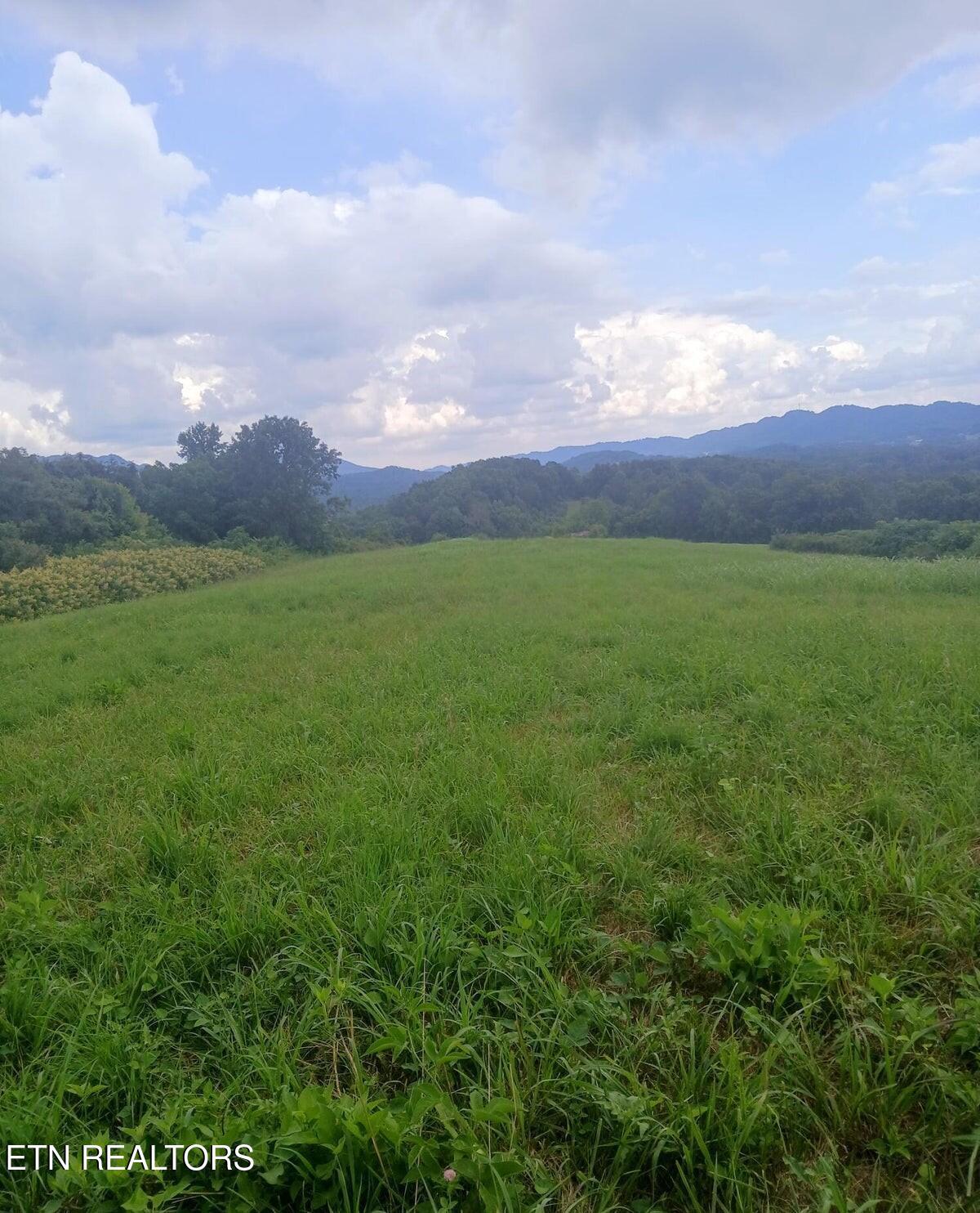 Image 4: 20250731184144054449000000-o