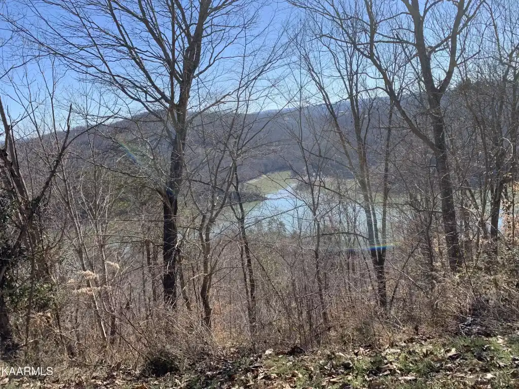 Image 1: Main Photo