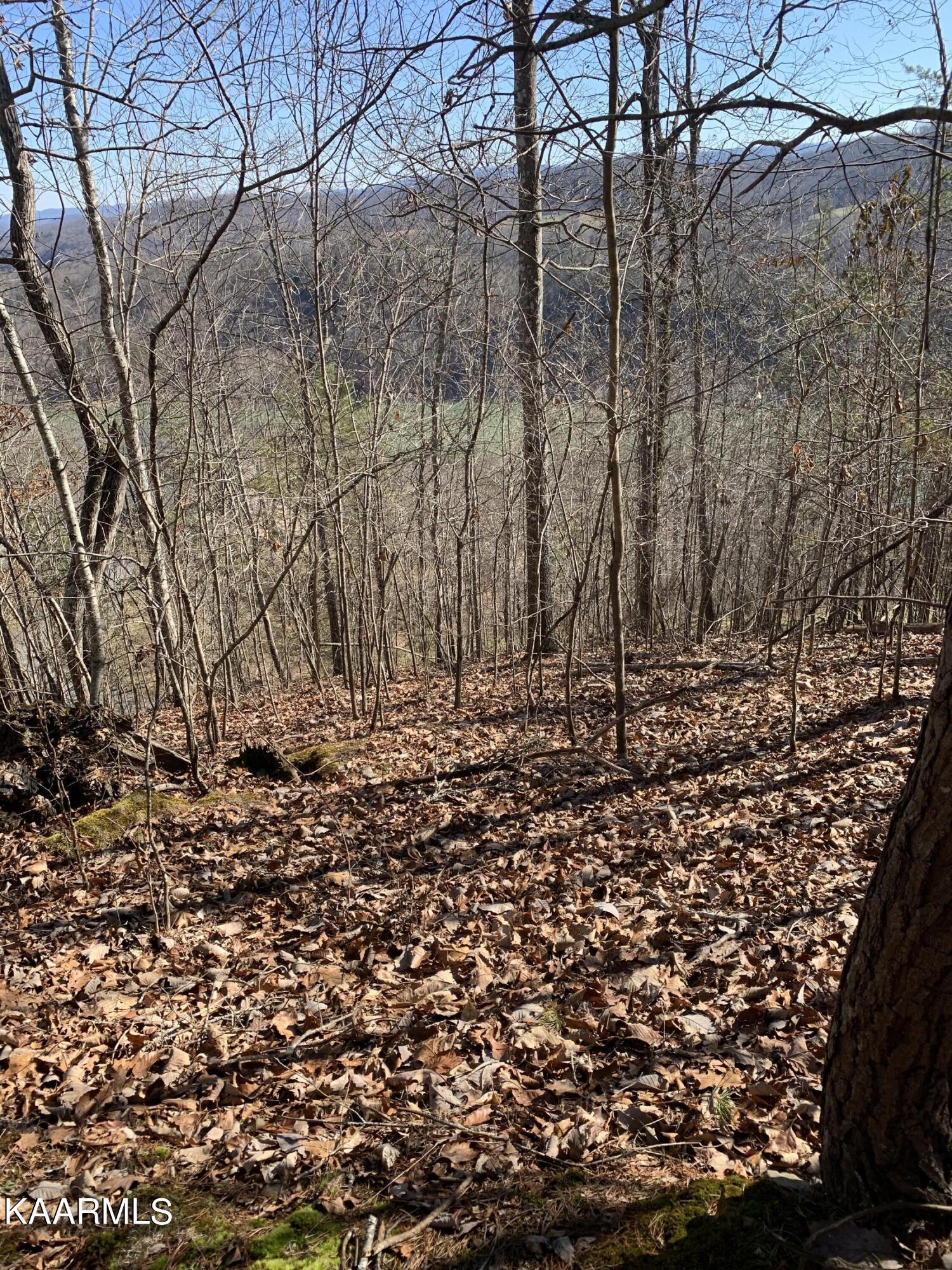 Image 2: Photo 2