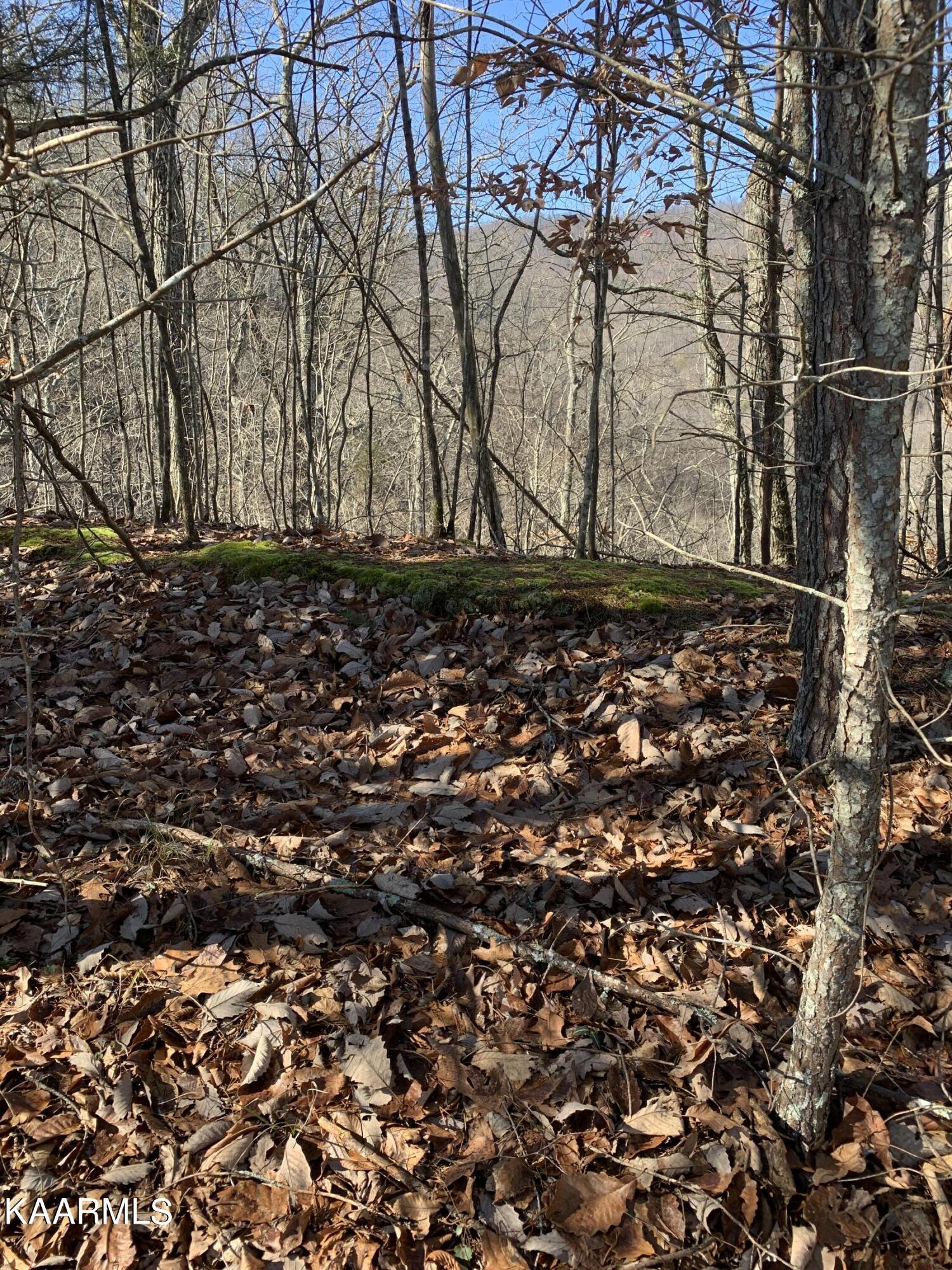 Image 4: Photo 4