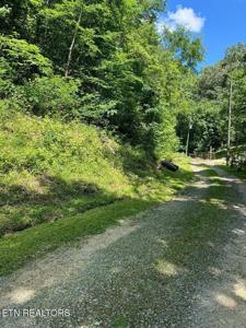 Larix Drive