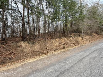 Lot 77 Grandpas Ridge