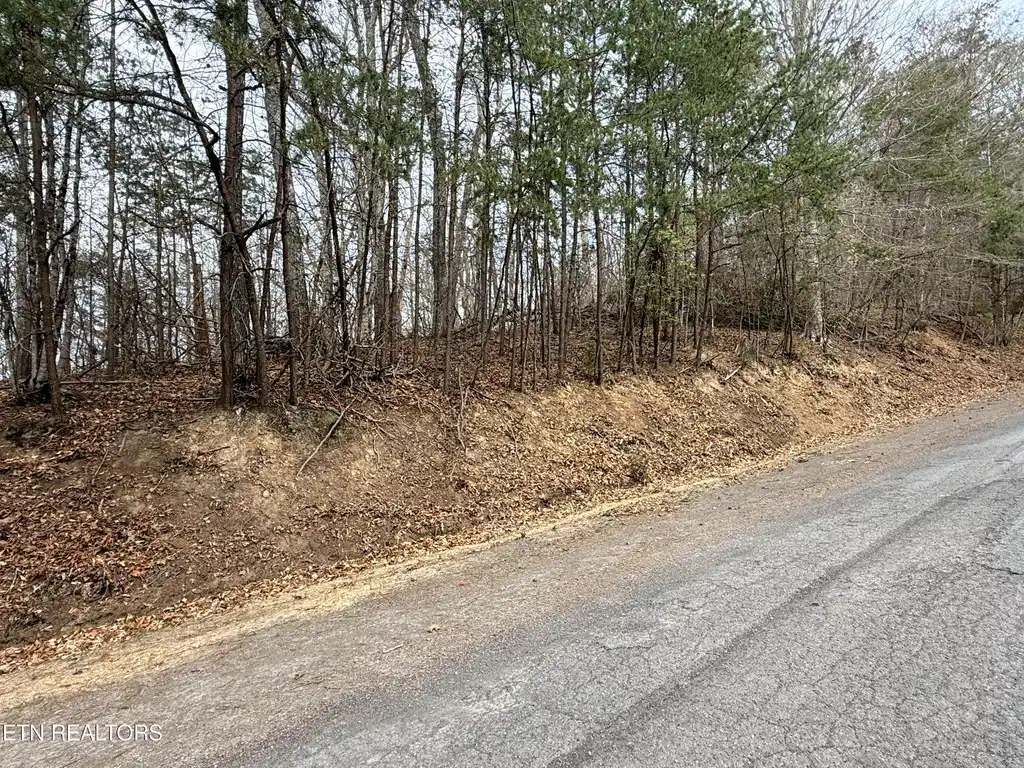Image 1: Lot 77