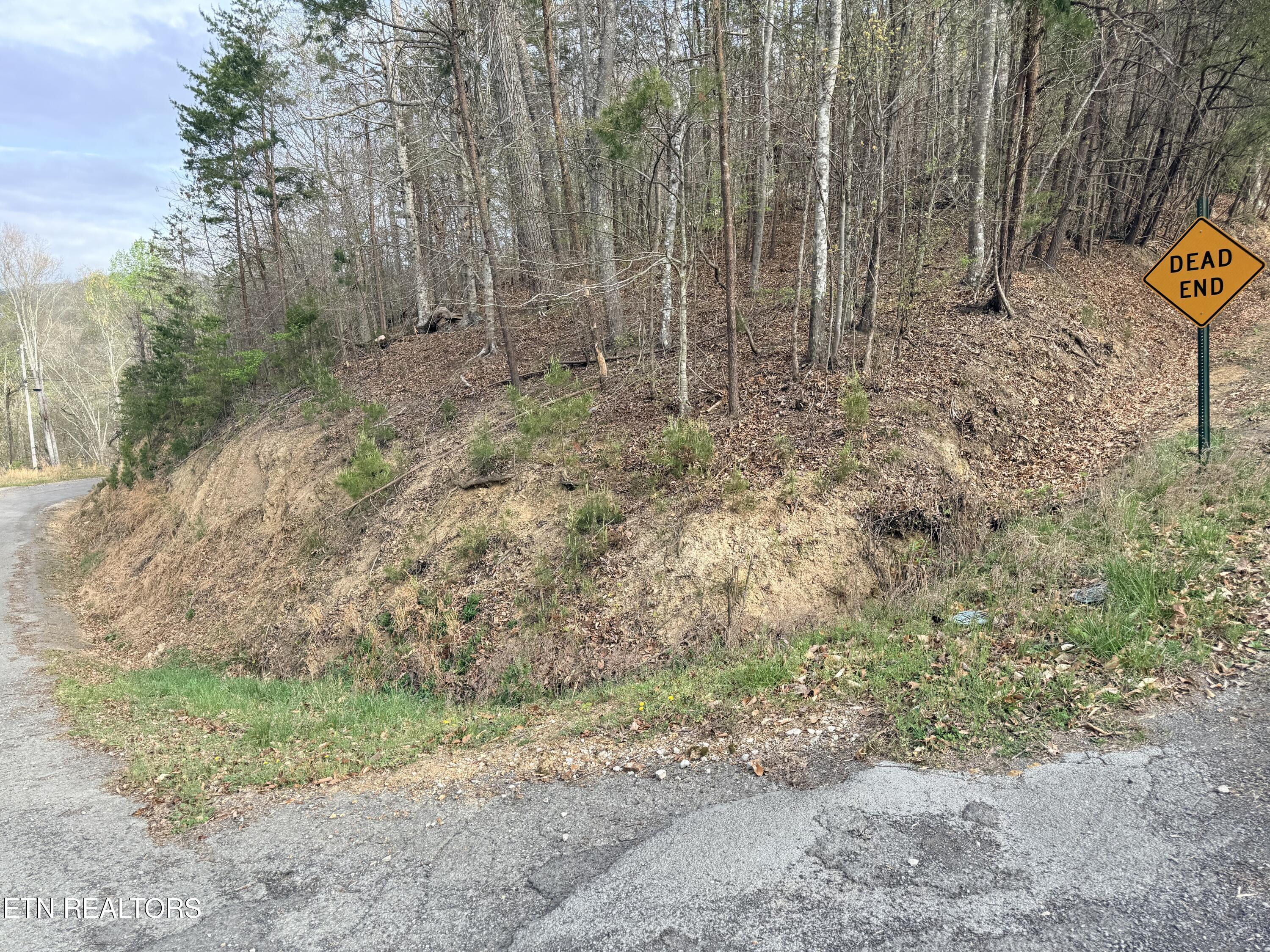 Image 2: Lot 77