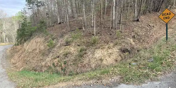 Image 2: Lot 77