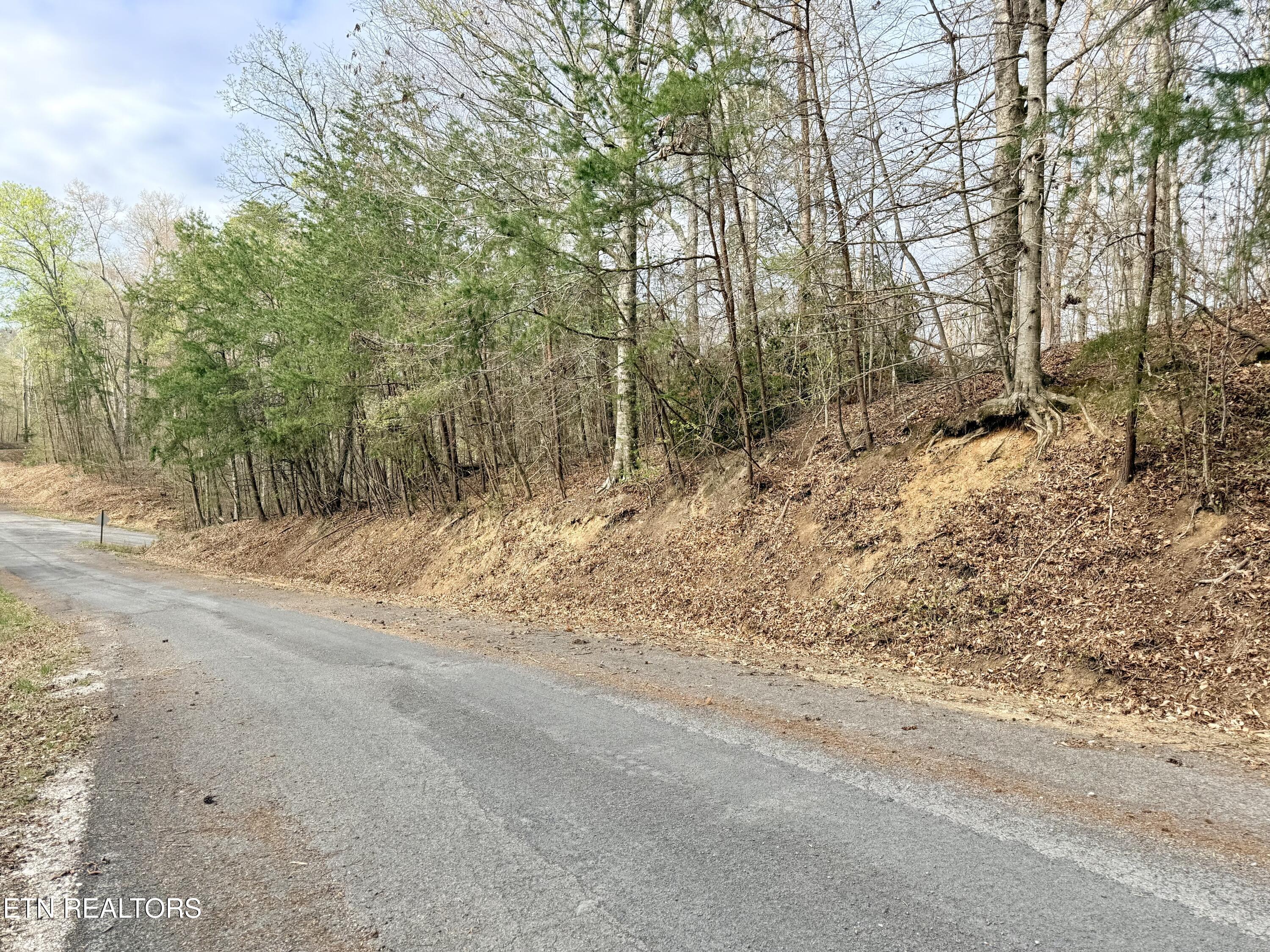 Image 3: Lot 77