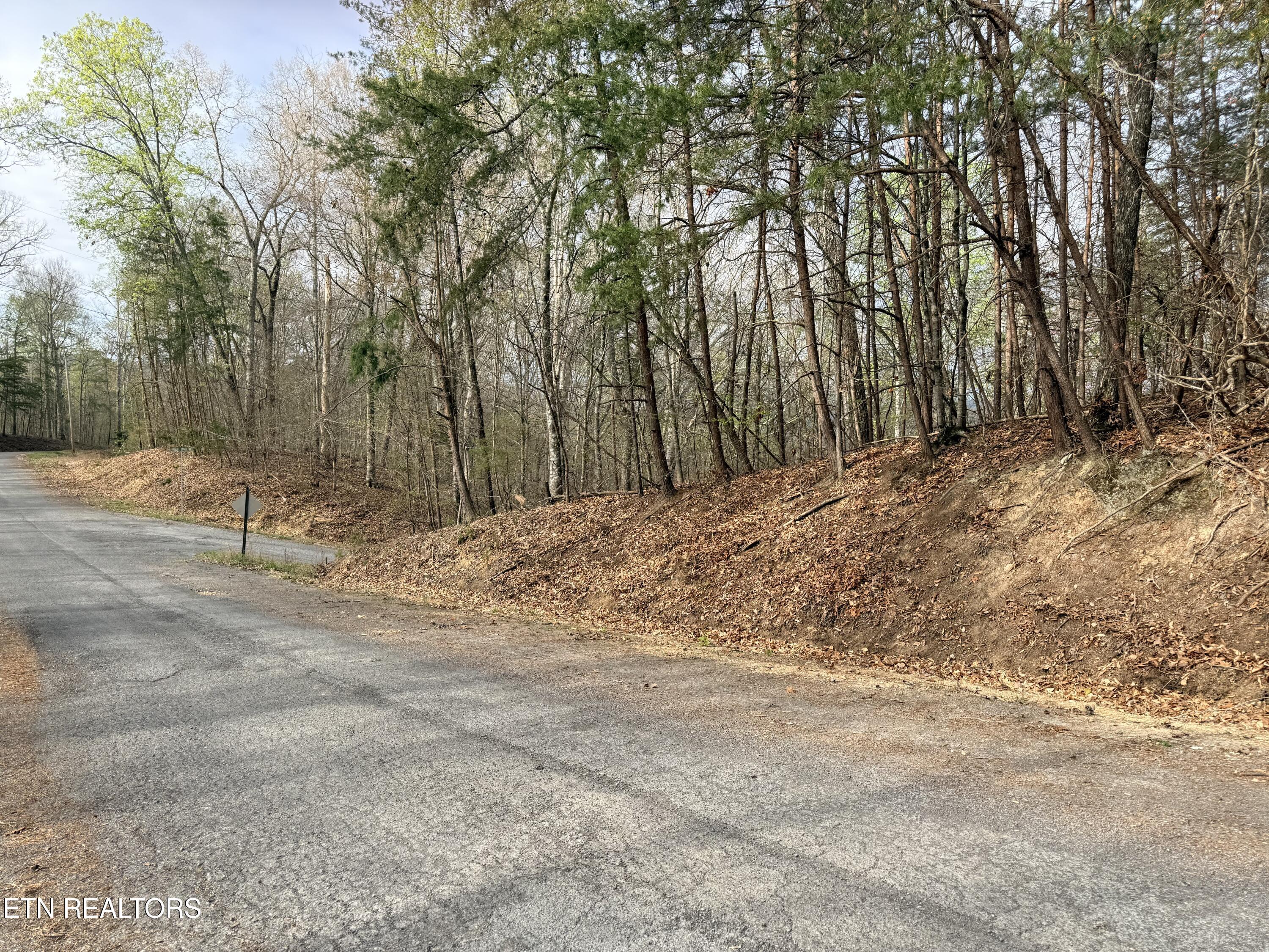 Image 4: Lot 77