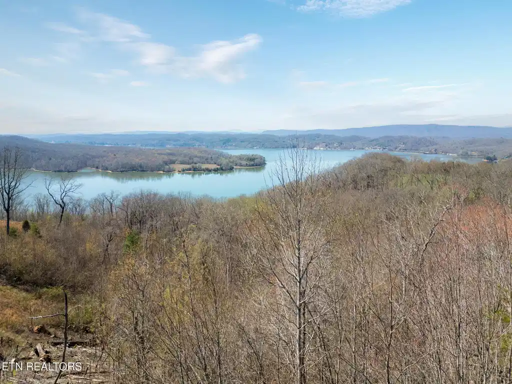 Image 1: View from property - main image