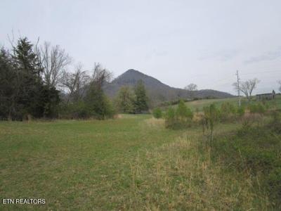 Washington Pike