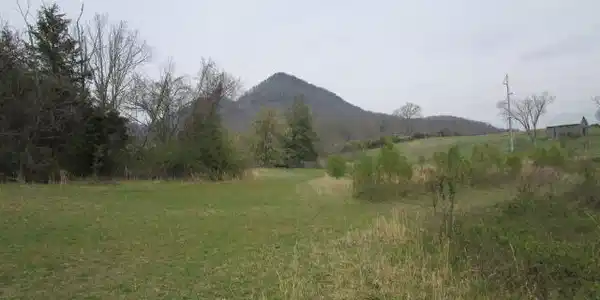 Washington Pike