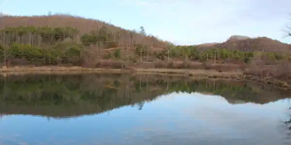 Davis Creek Tract 1 Rd