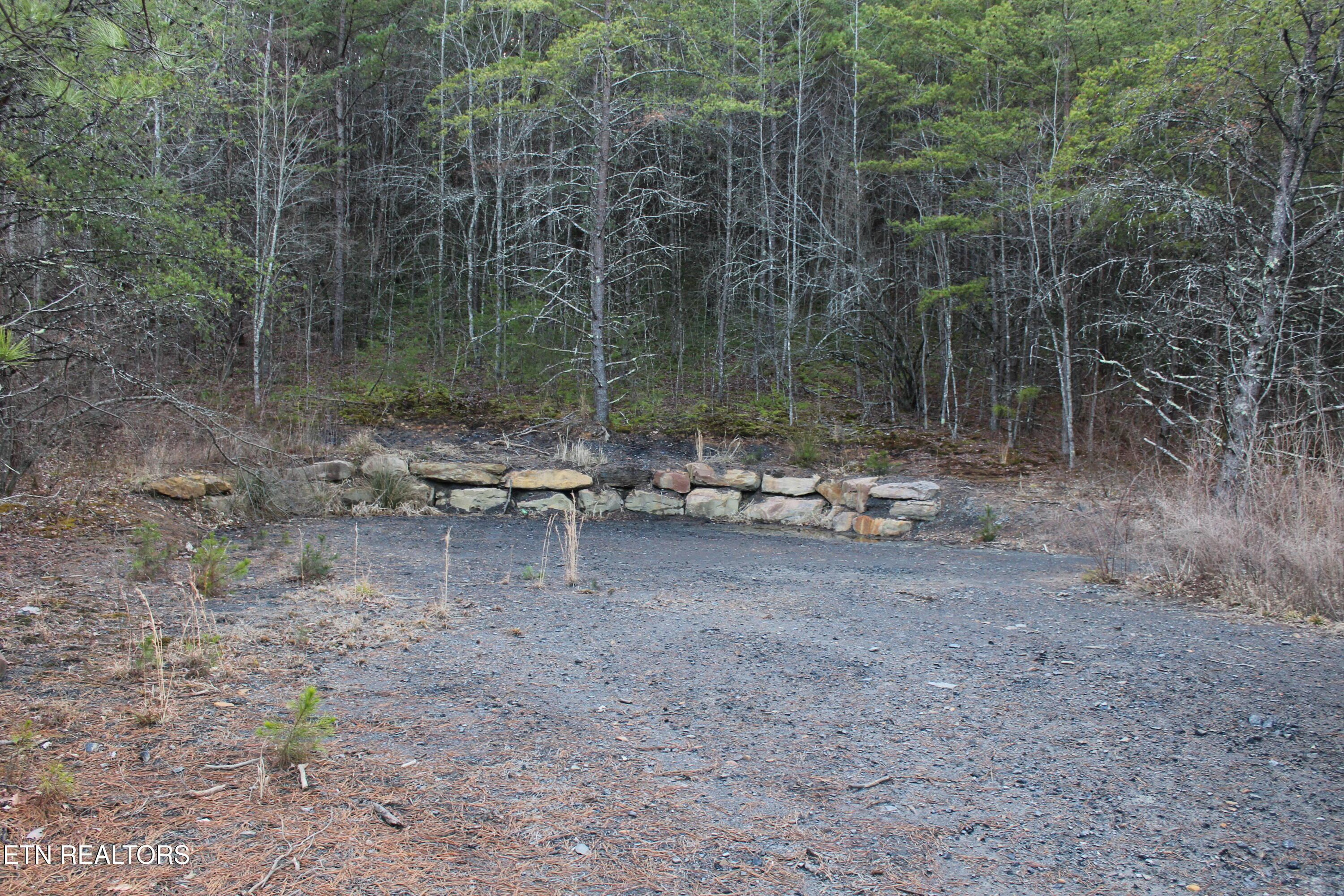 Image 3: IMG_2202