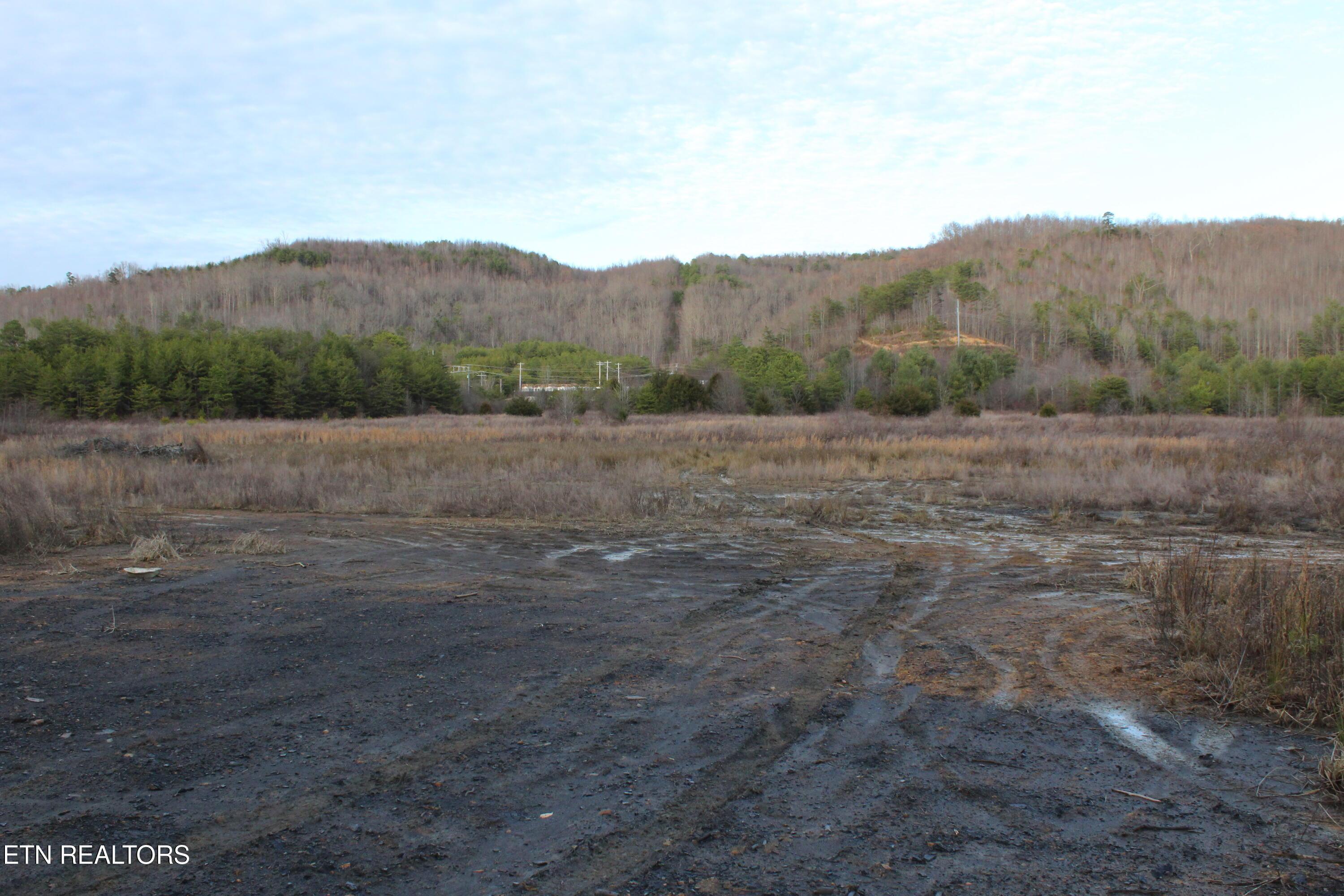 Image 4: IMG_2203
