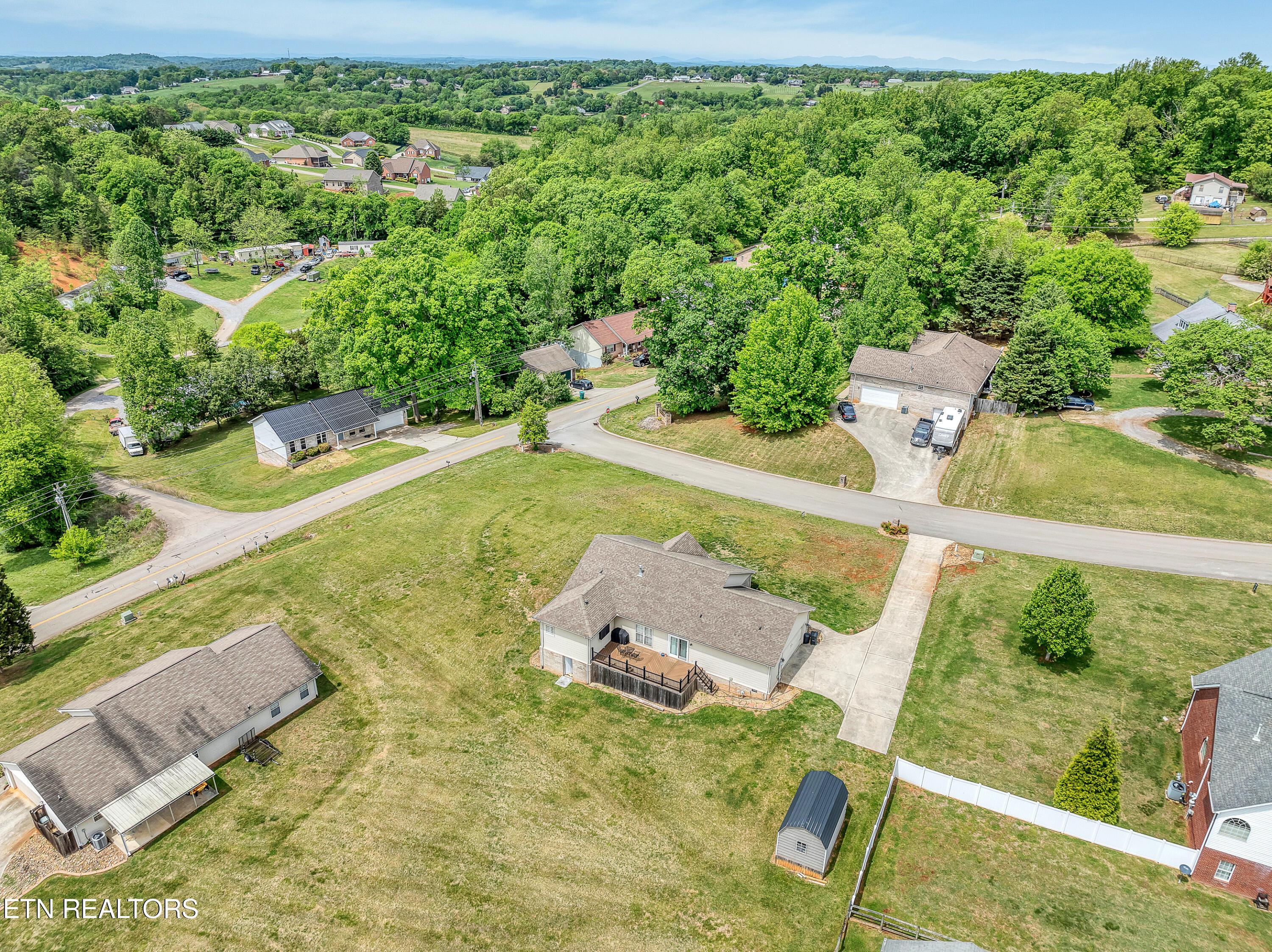 Image 4: DJI_0774