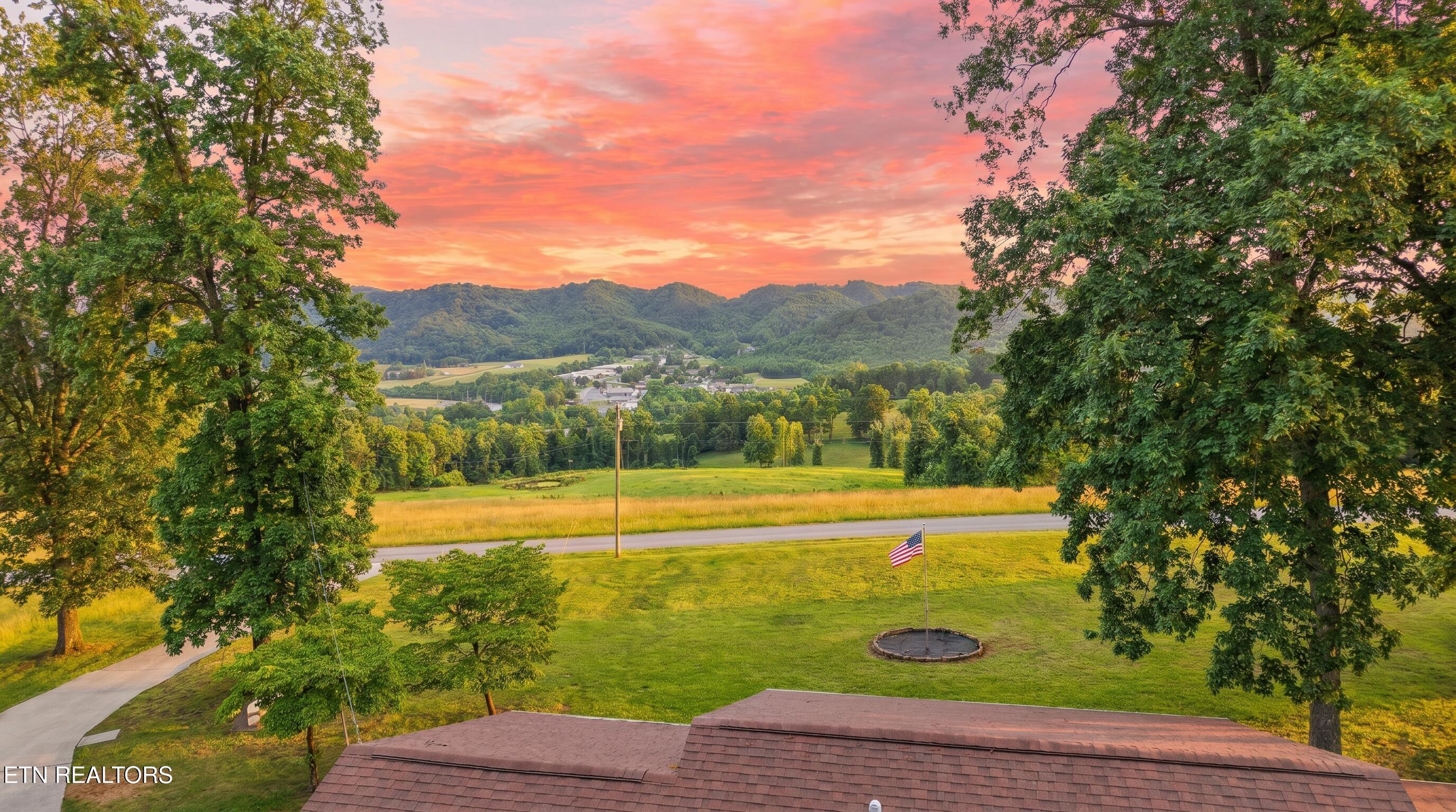 Image 3: 07-hf_20260603_124341_c6fe0099-1d8c-4114