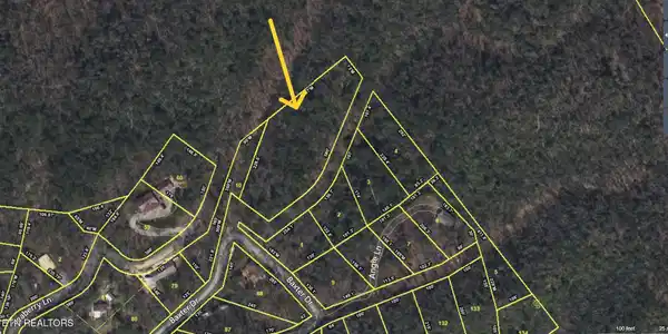 Image 2: Angie Way Property Lines