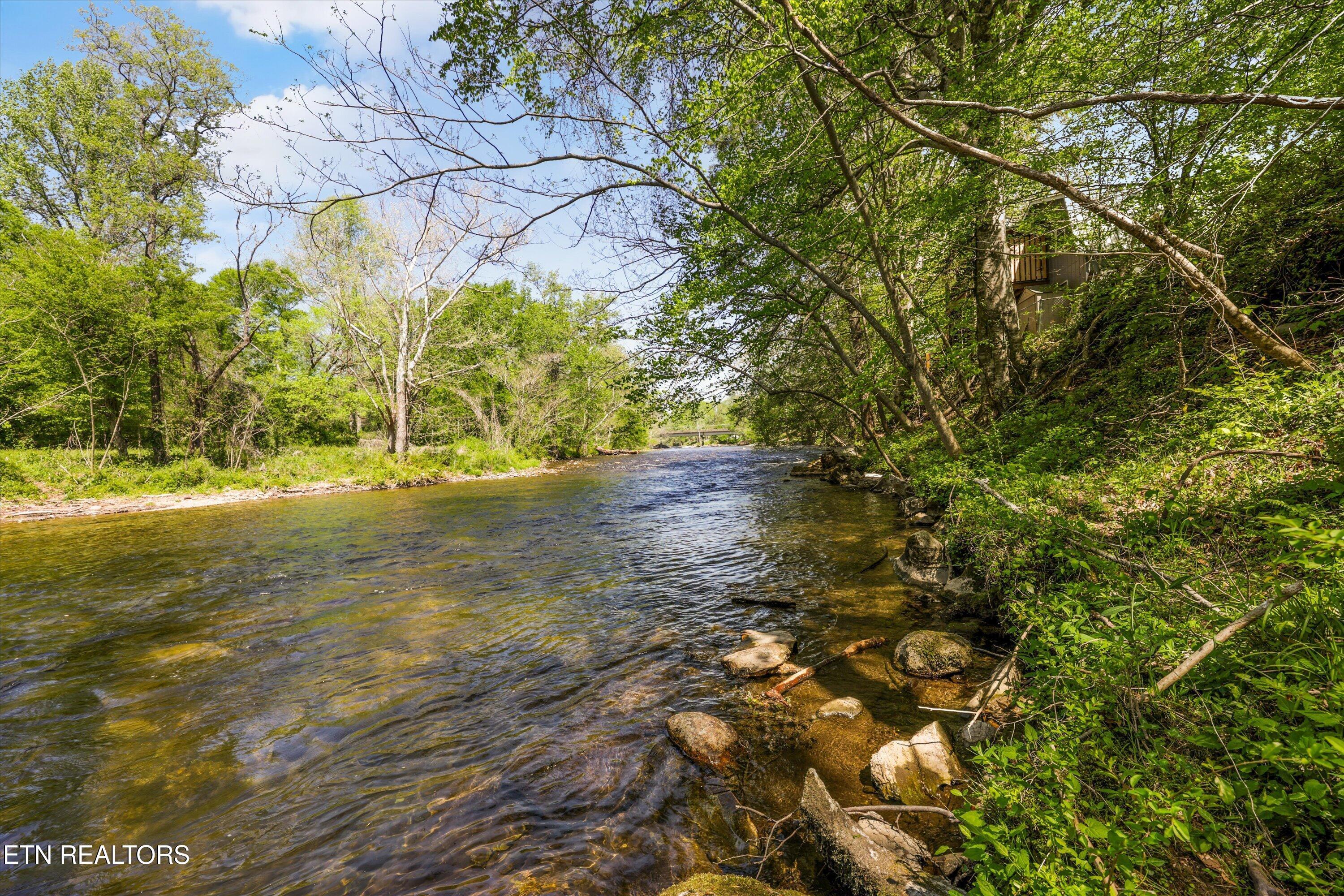 Image 3: Bank of the Little River