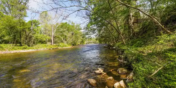 Image 3: Bank of the Little River