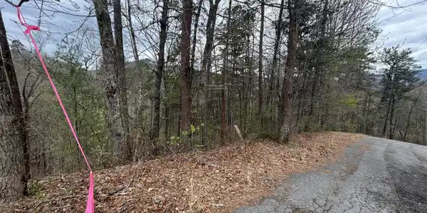 Lot 007B Shagbark Hickory Ridge