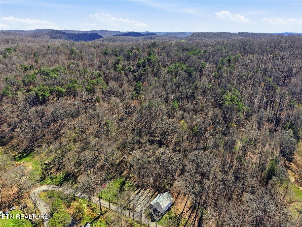Image 2: 03-001_DJI_20260317153523_0101_D