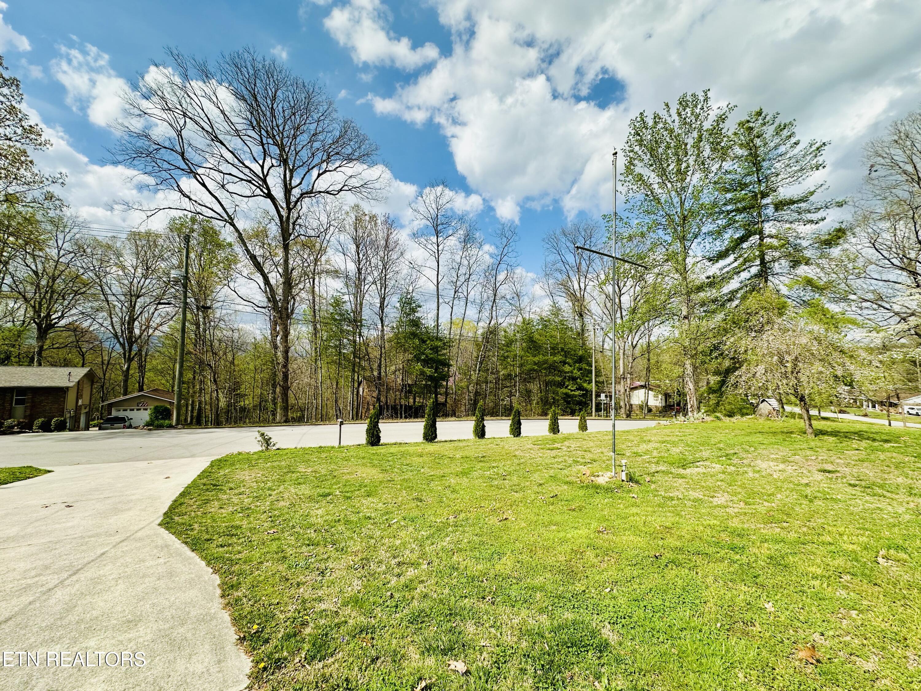 Image 4: Front yard