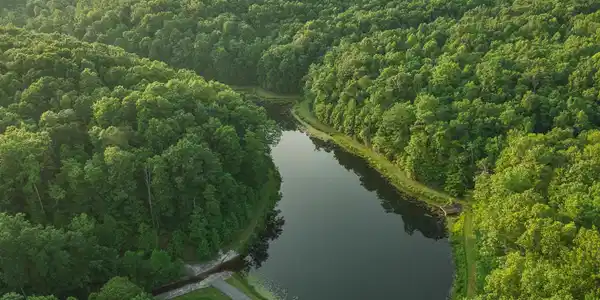 Image 2: DJI_20250610185832_0024_V