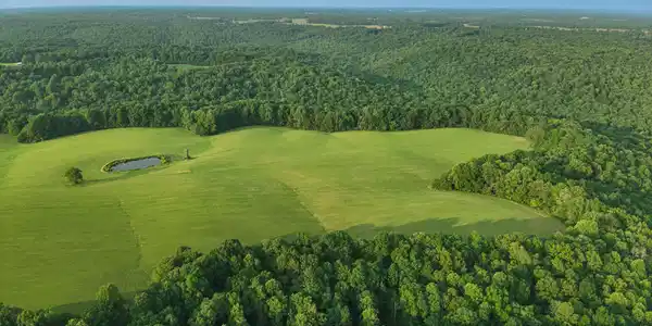 Image 4: DJI_20250610185512_0016_V