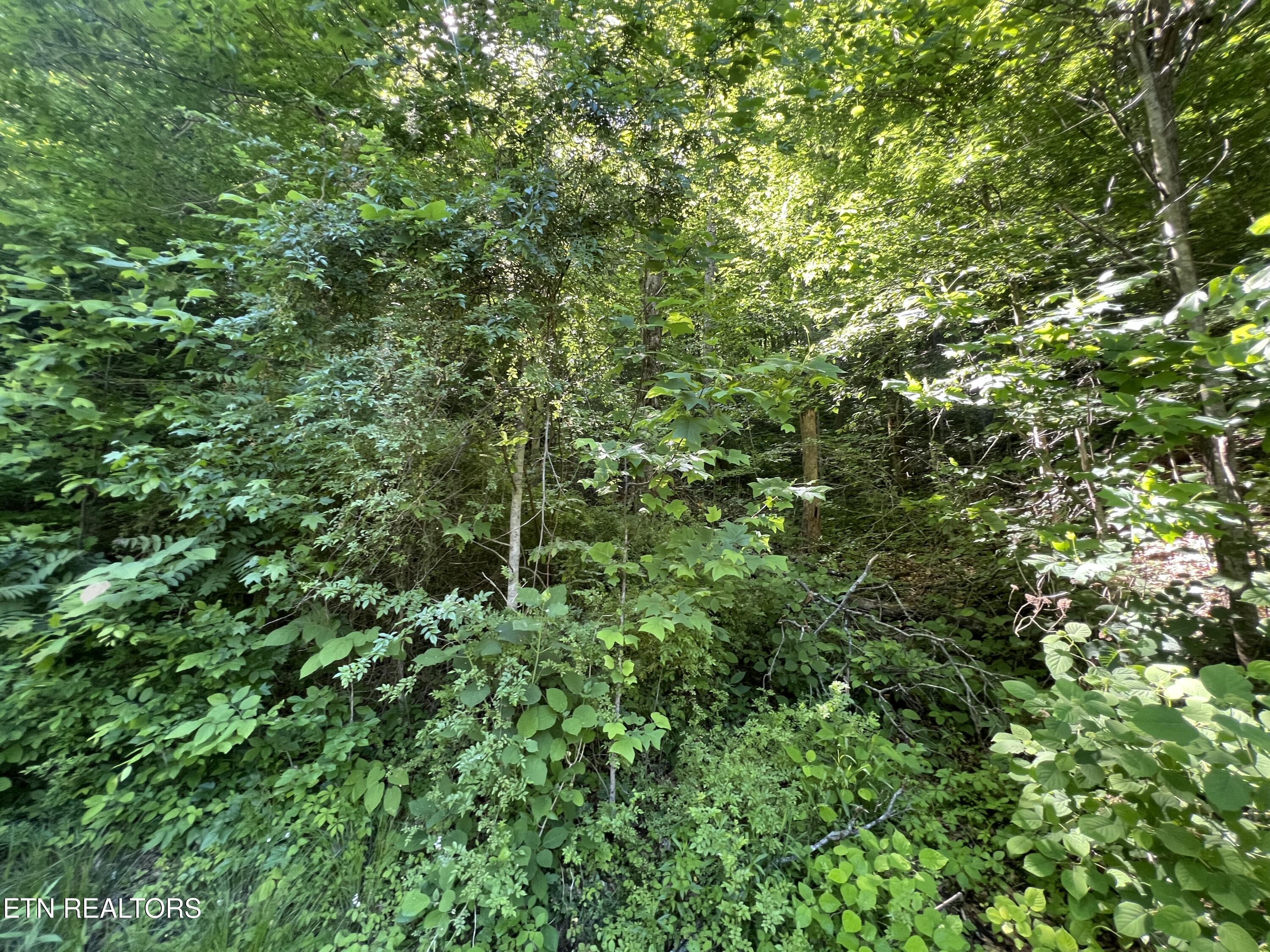 Image 4: IMG_8414